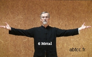 6-metal